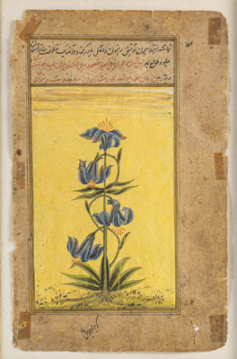 <b>AN ILLUSTRATED BOOK PAGE</b>